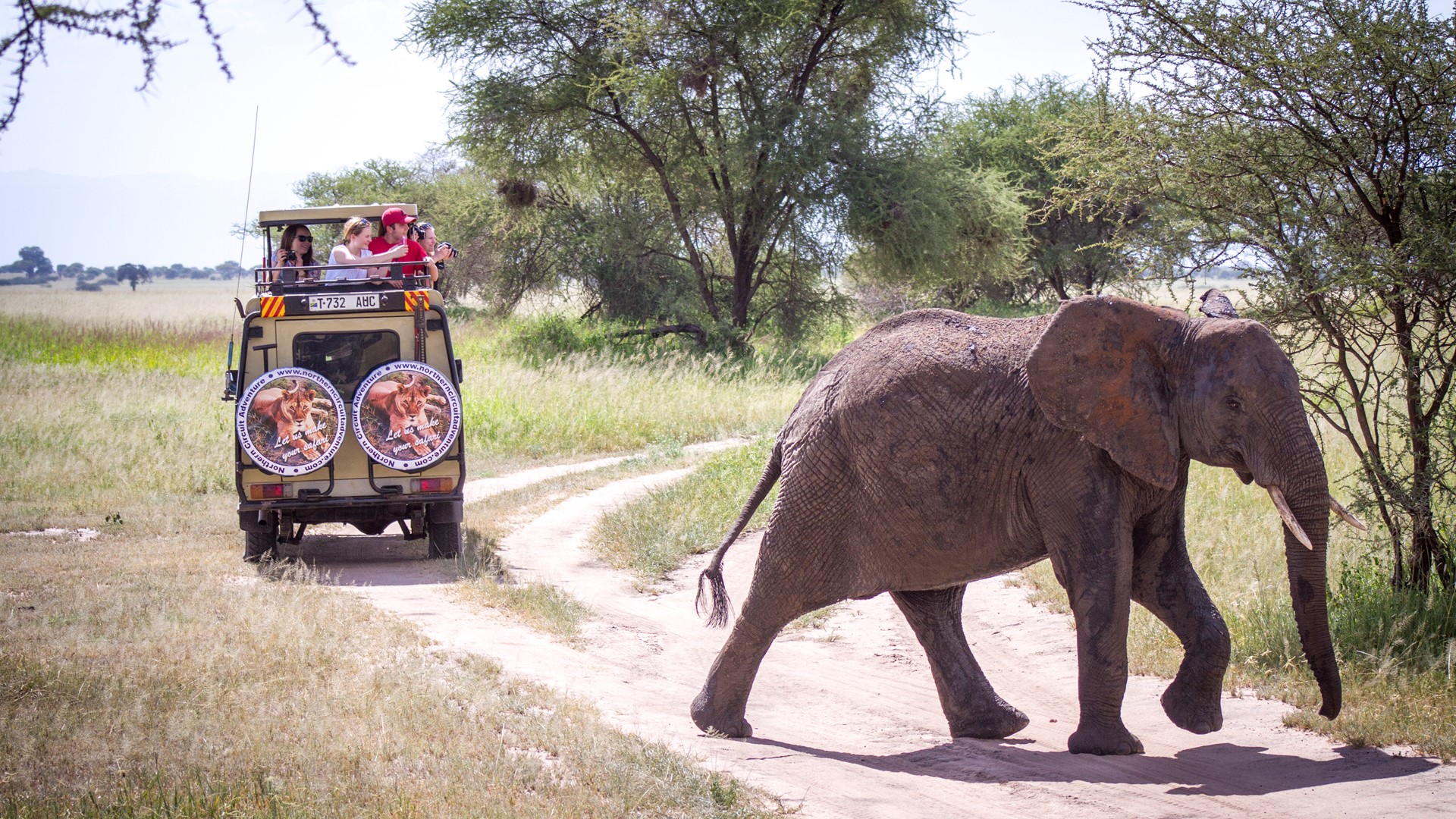 Folkehogskole Safari