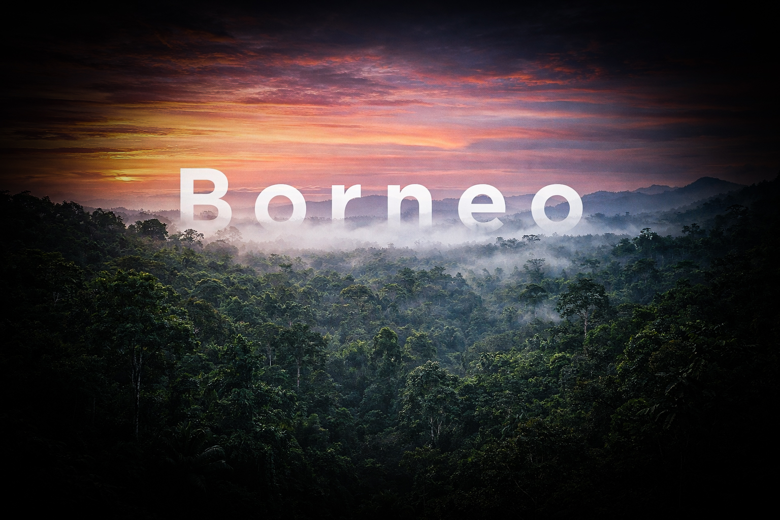 399B616c 6E90 4C90 9436 7A2fdbb3d212 3