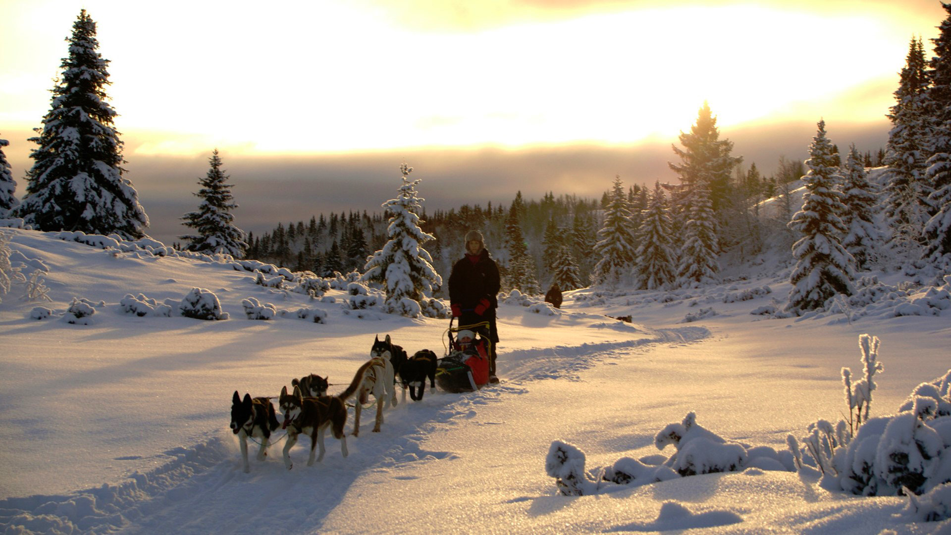 Klikk for å vise videoen