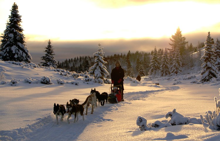 Klikk for å vise videoen