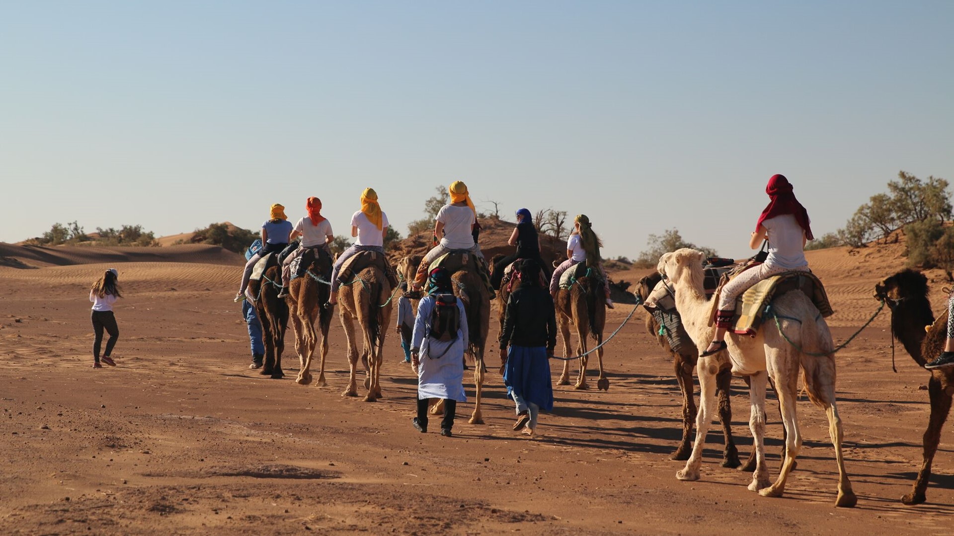 Folkehogskole Valdres Marokko