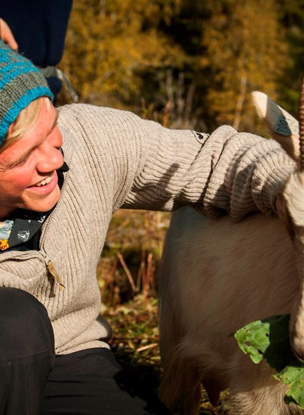 Folkehogskole Valdres Geit