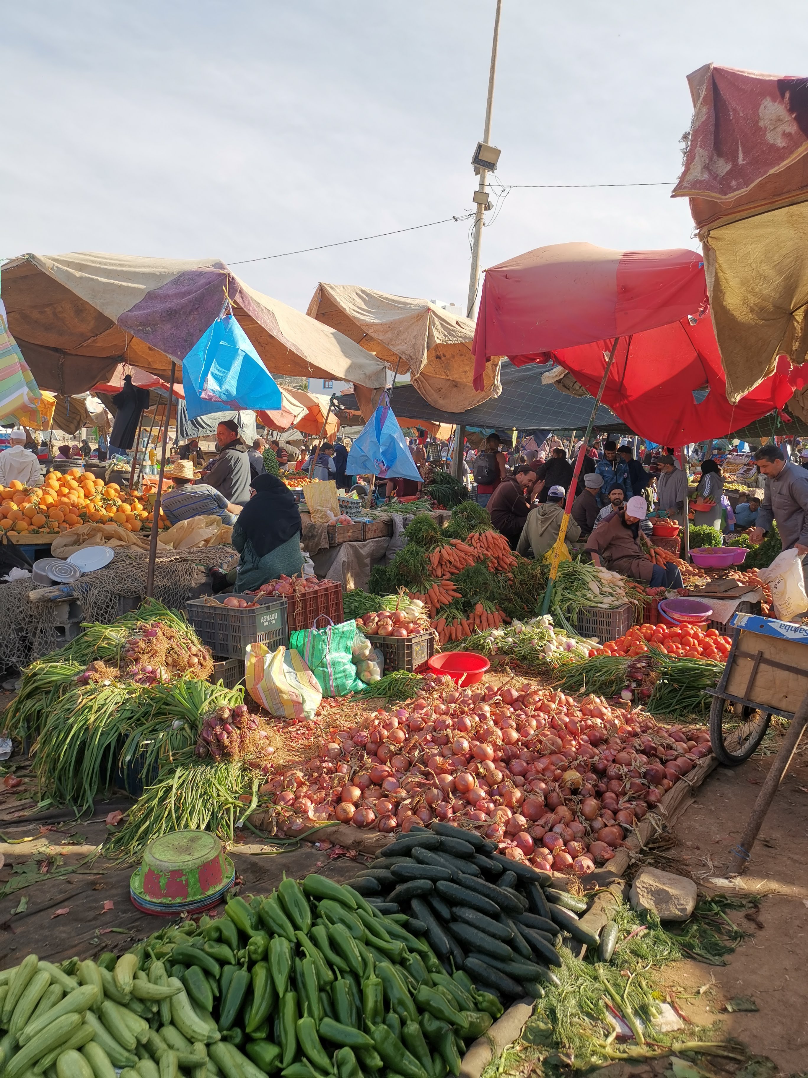 Valdres Folkehogskole Marokko Reise 12