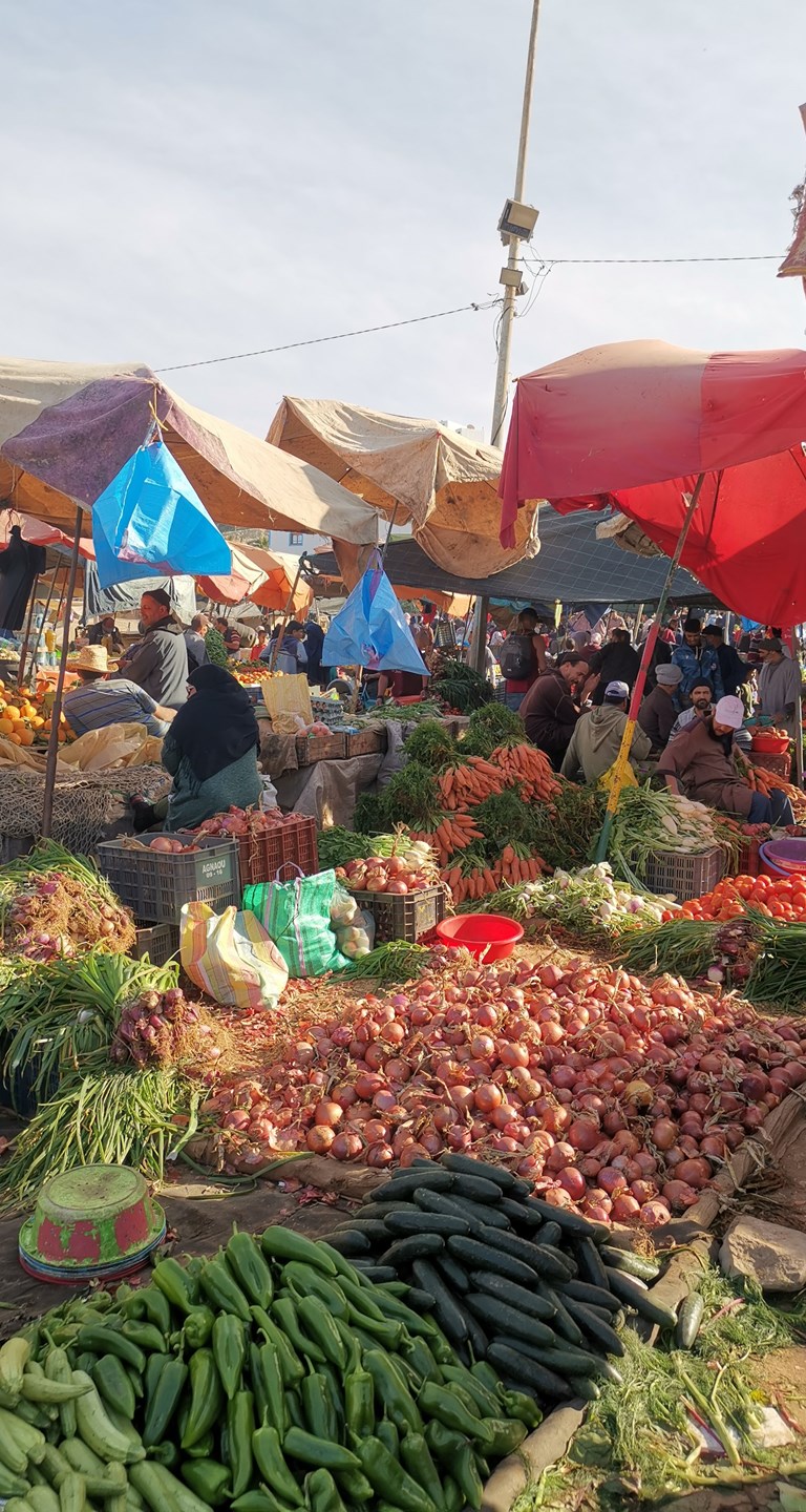 Valdres Folkehogskole Marokko Reise 12