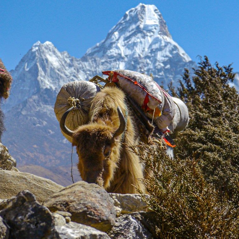 786D7A21 83B0 4B81 B1F6 49FB91C9ADDB