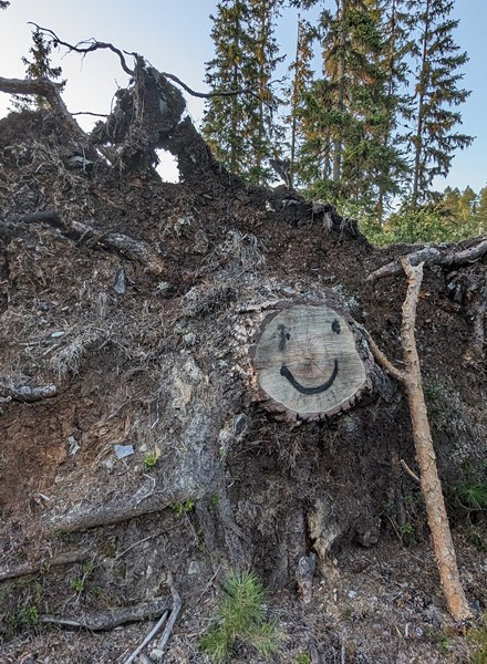 PXL 20230905 180245036