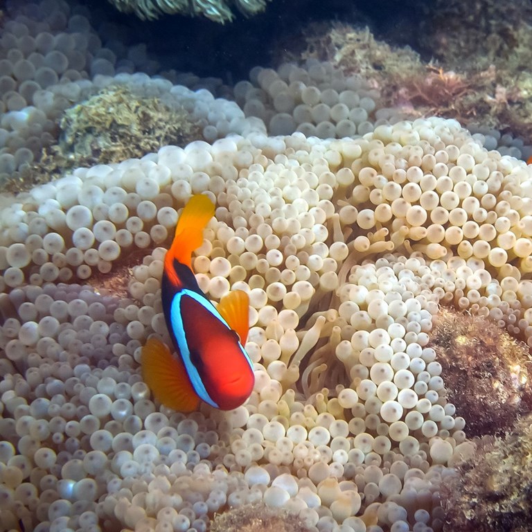 Folkehogkole Valdres Studiereise Fisk