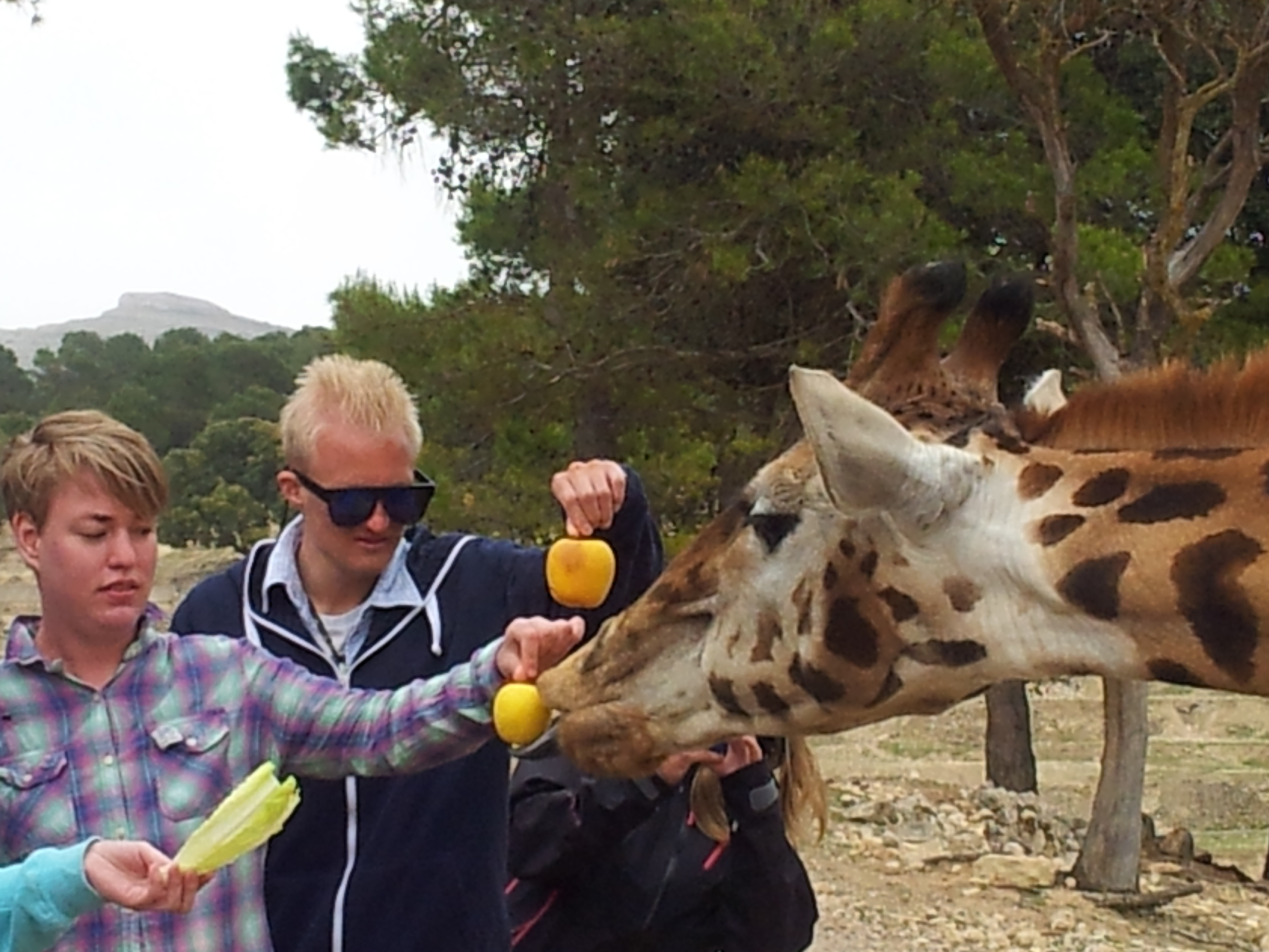 Valdres Folkehogskole Aktiv Costablanca 6