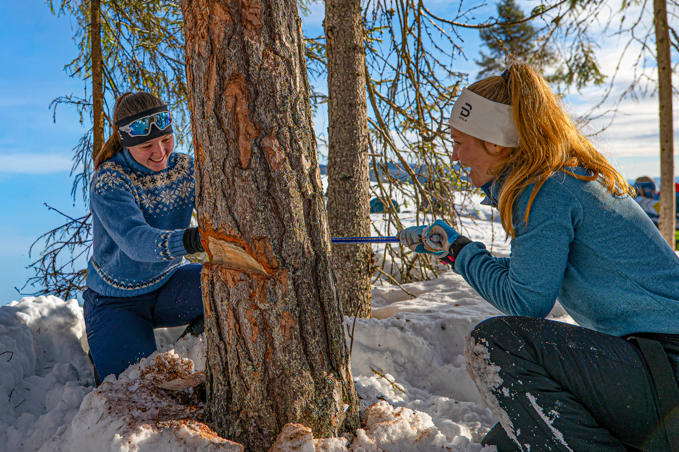 P1132696 Conflict 2023 03 13 19 51 46 2