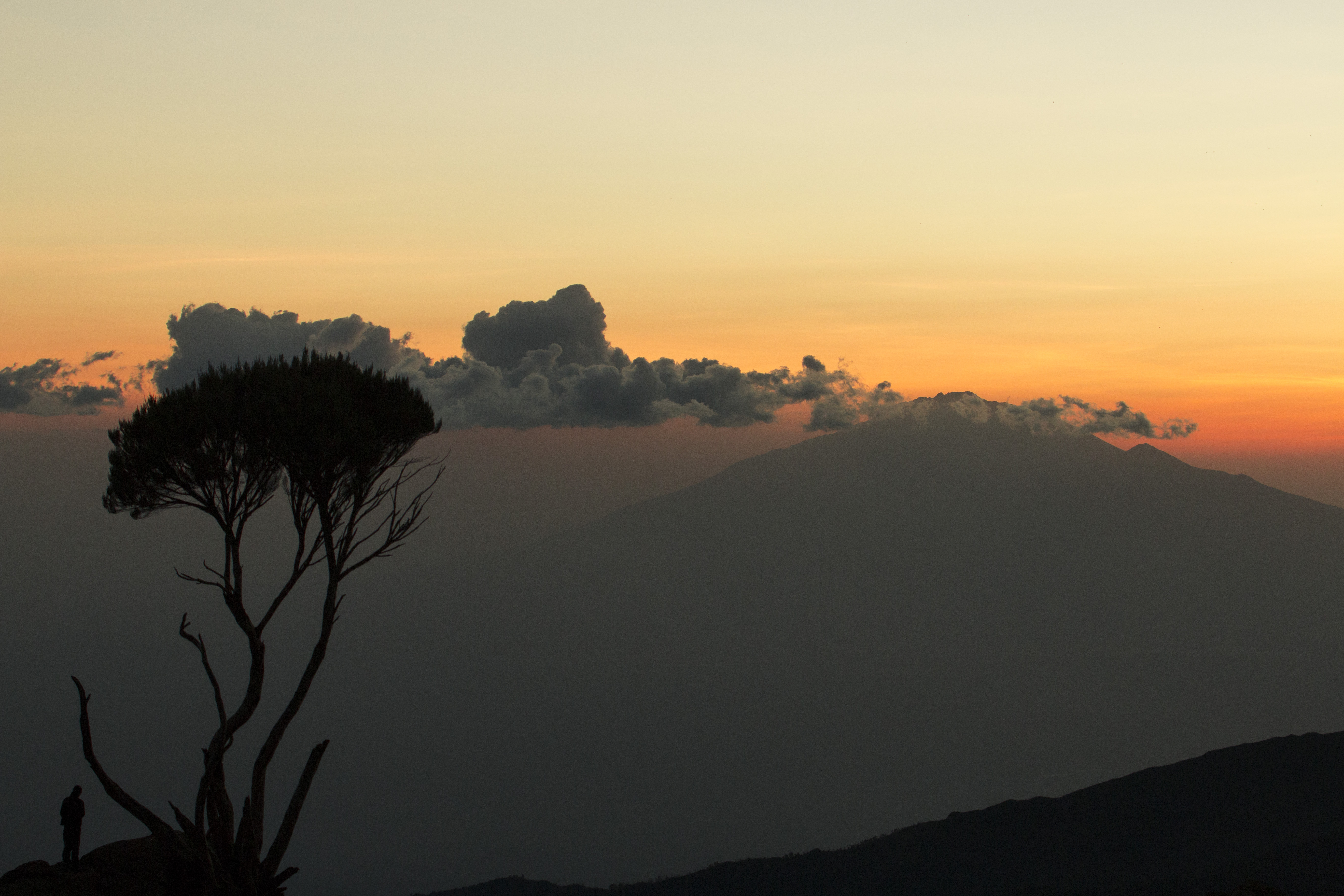 Kilimanjaro Friluftsliv
