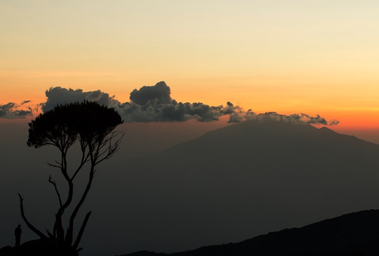 Kilimanjaro Friluftsliv