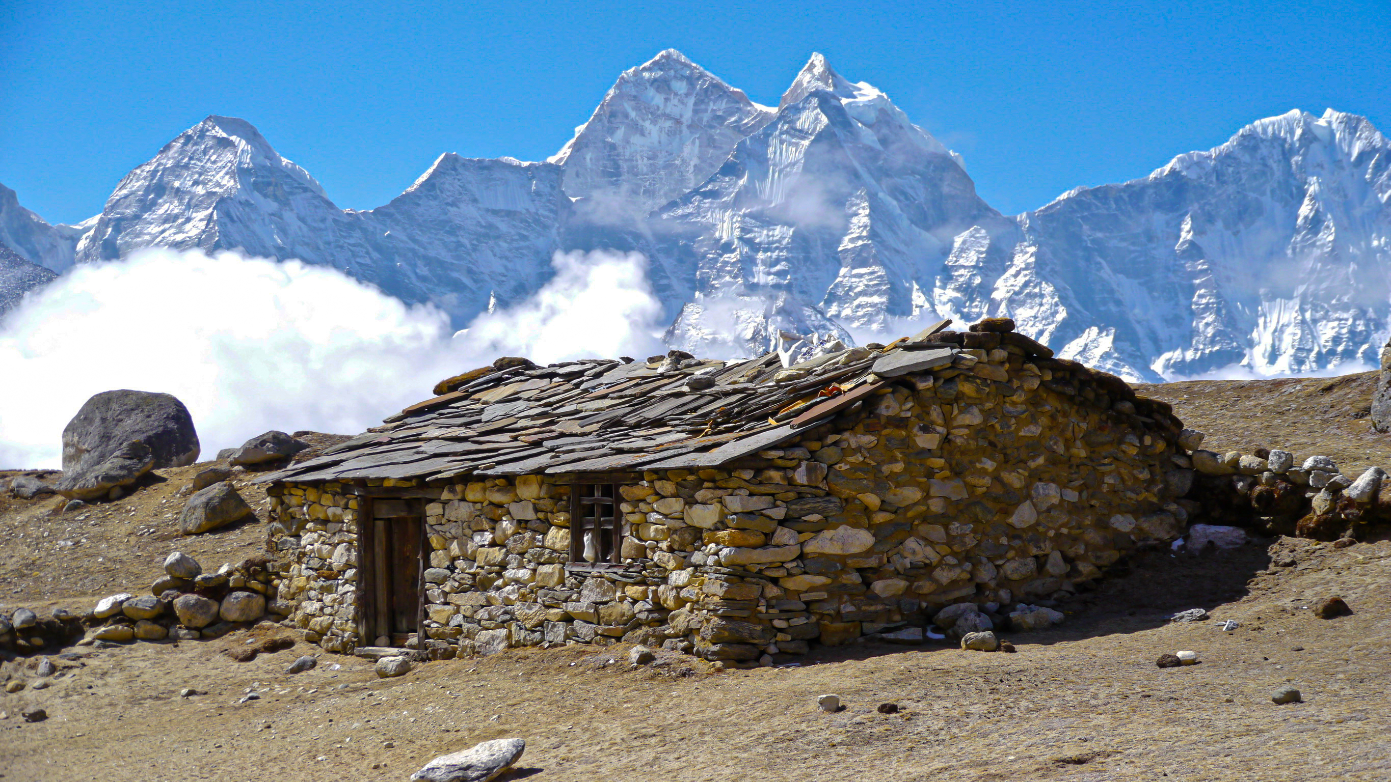 E97F4324 C5CA 44DA AA81 361159411C56