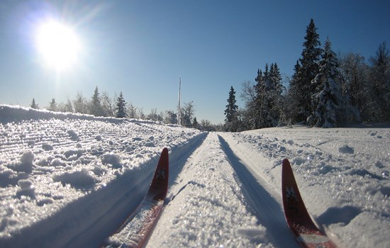 Folk high school Elective Cross-country skiing