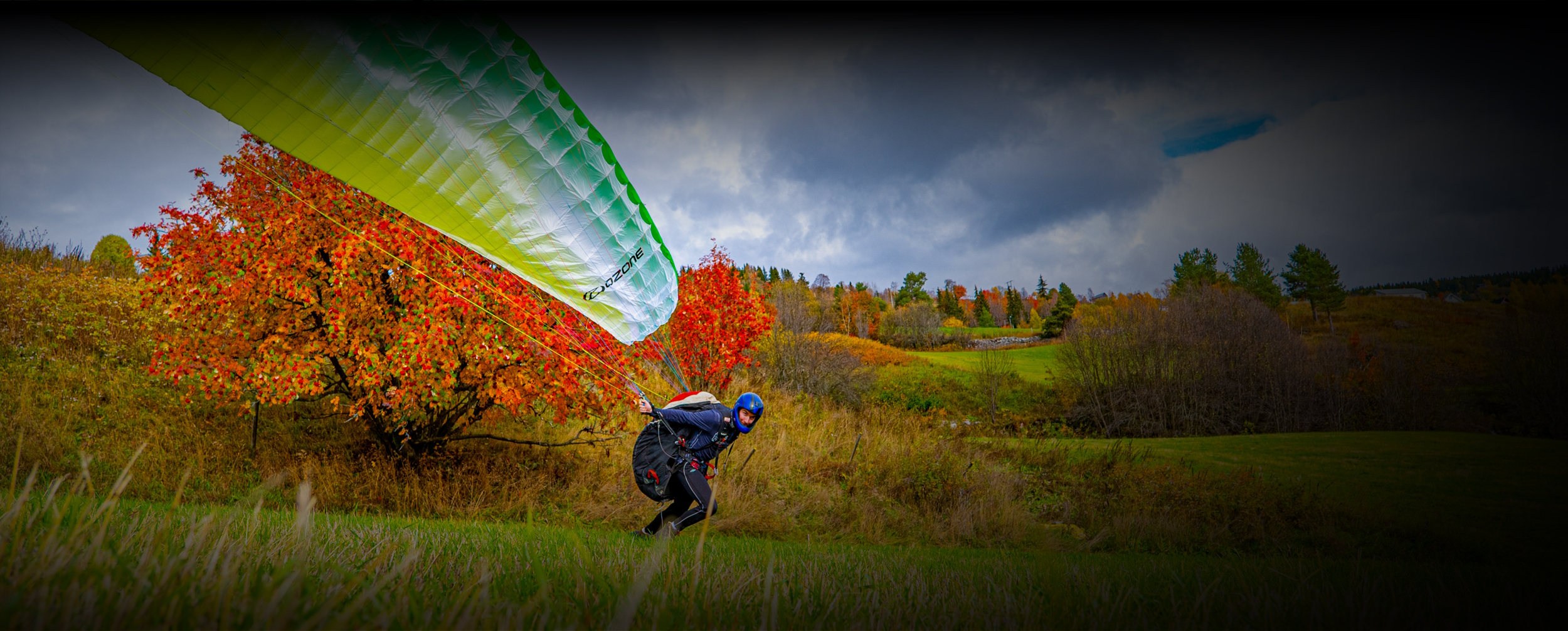 Vintereventyr Blimedaafly Dark