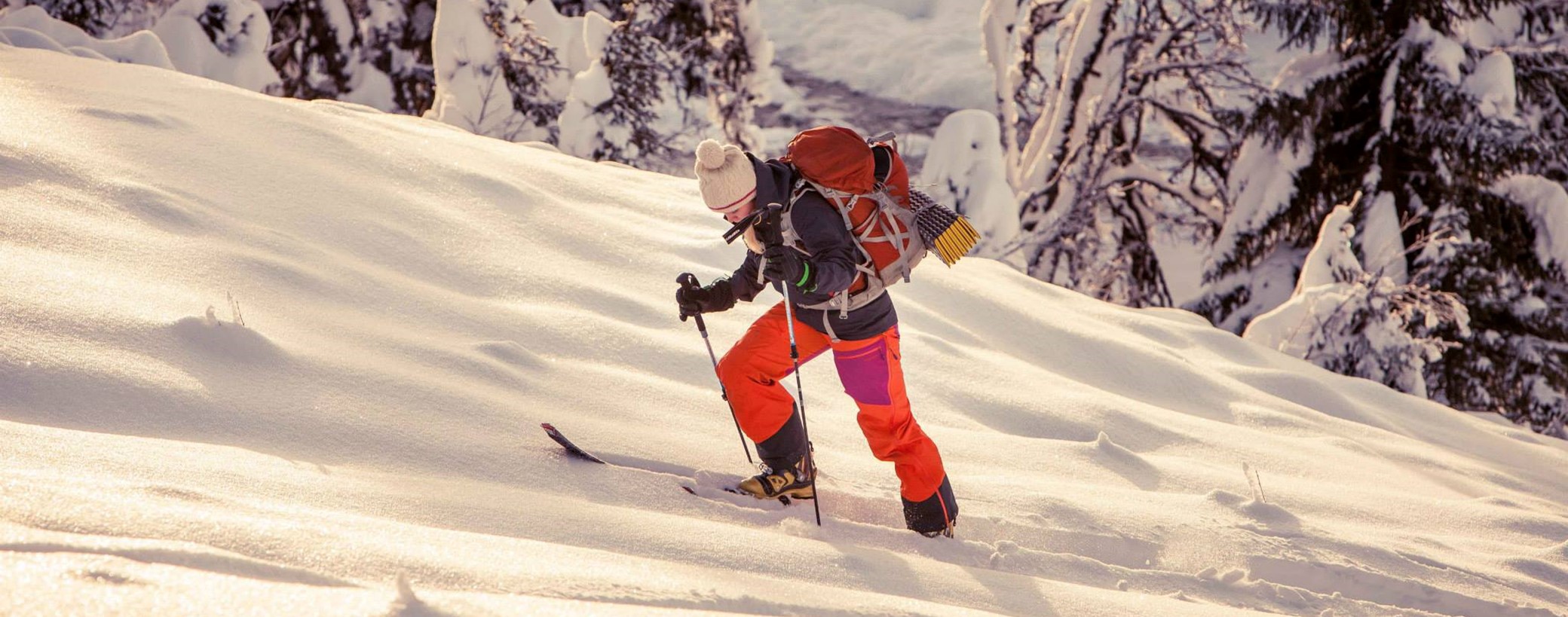 Valdres Villsnø Folk High School